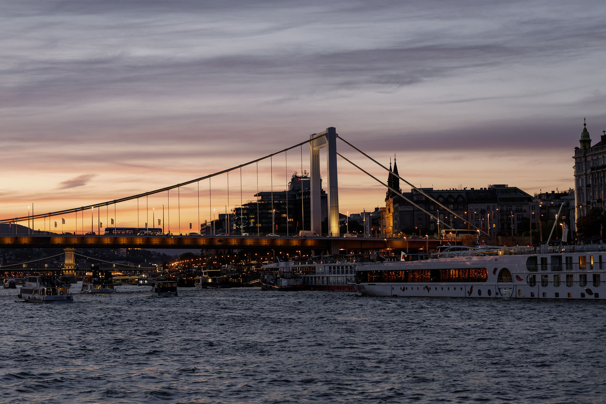 Cruise-157